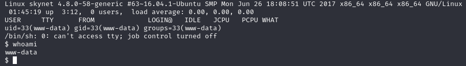 reverse shell on Skynet